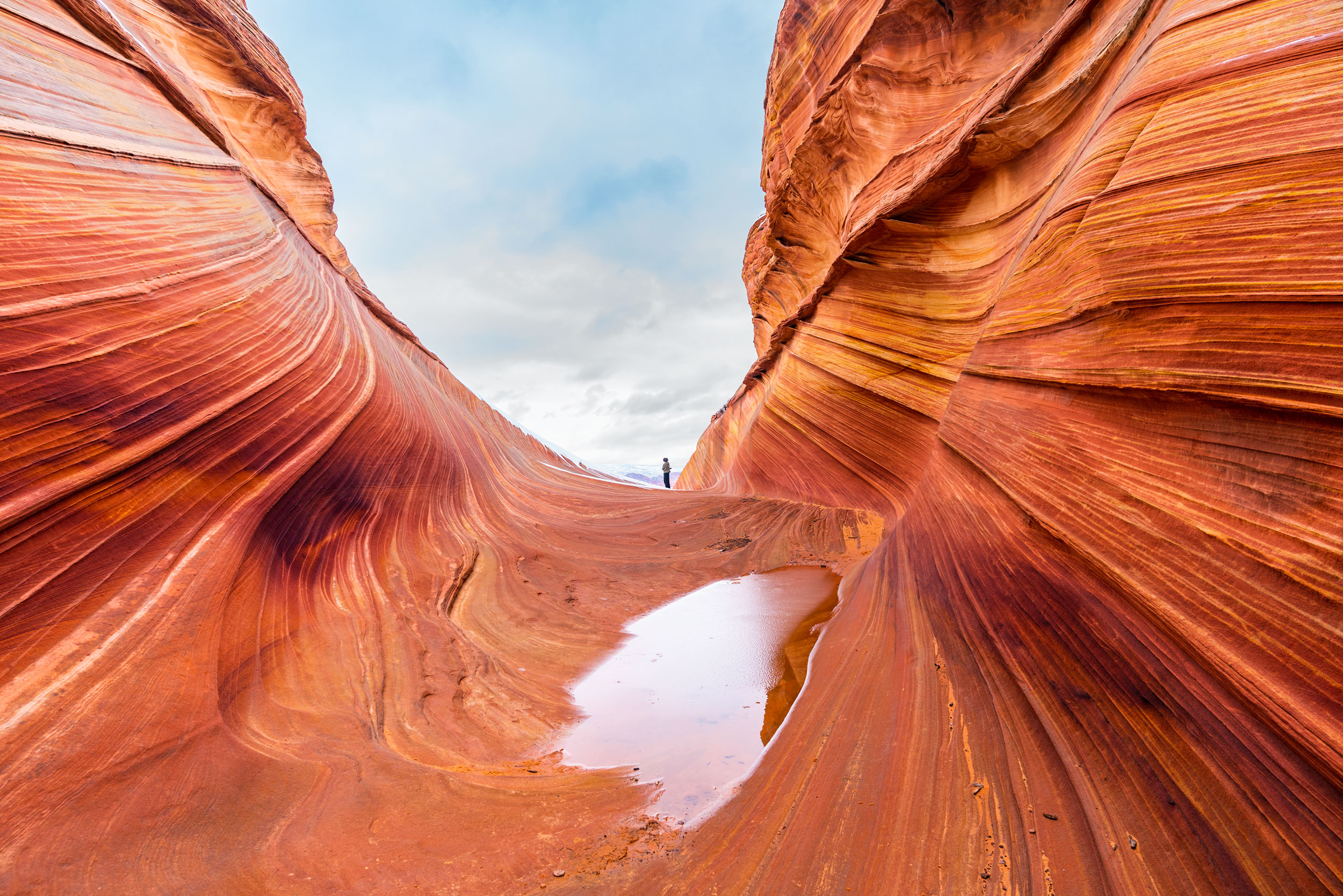 A hiker stood at the edge of The Wave.